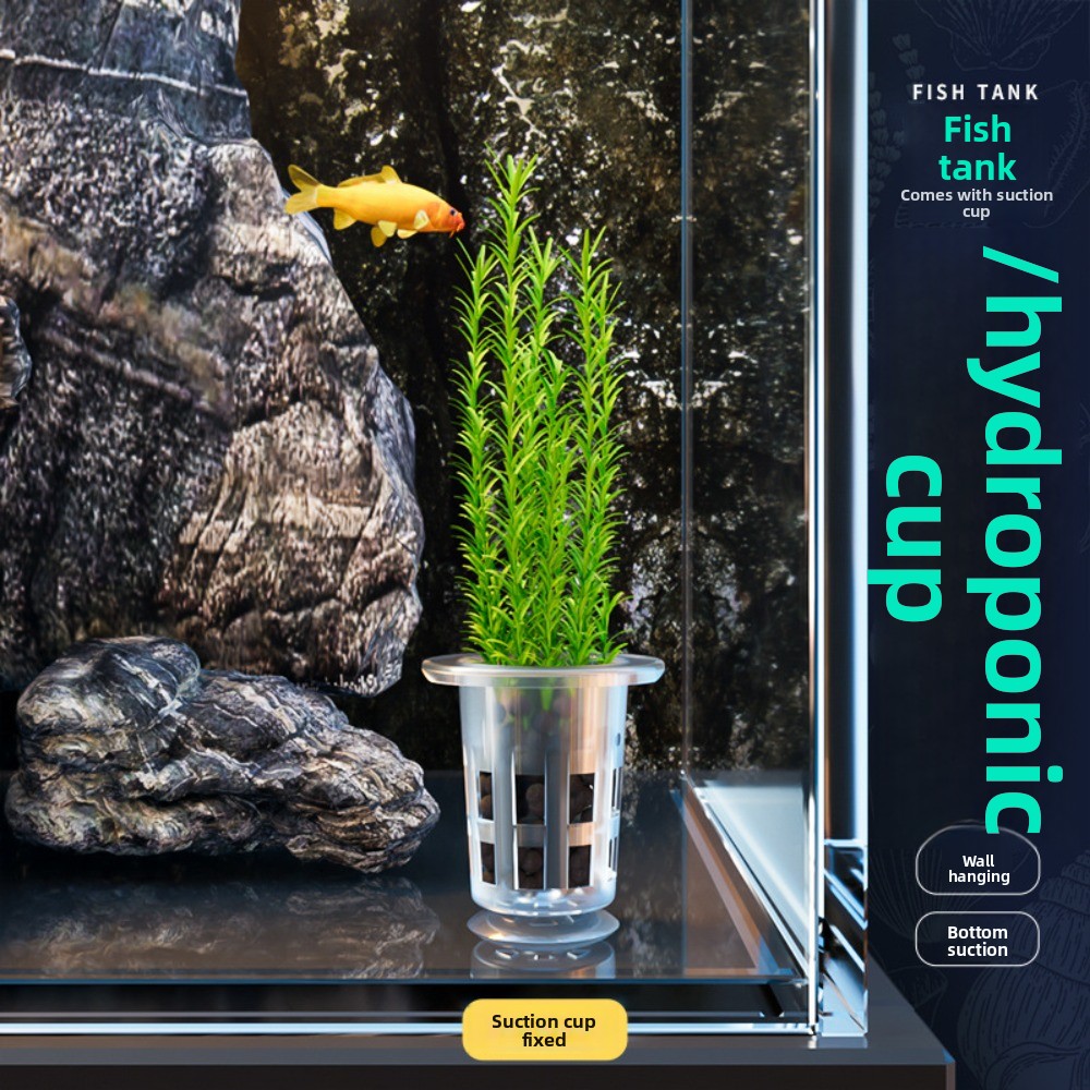10Pcs Transparent Plant Hydrop - Aquarium Plants Live review and price