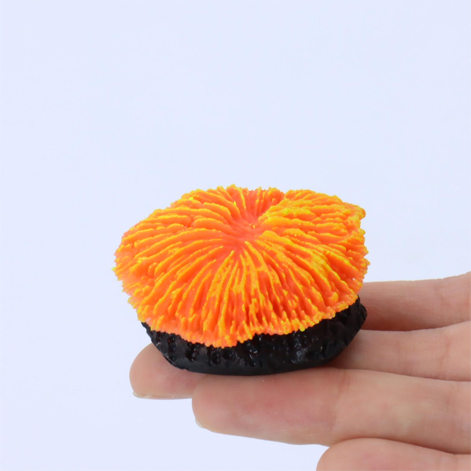 1 Piece Aquarium Decoration Sa - Live Plant Aquarium review and price