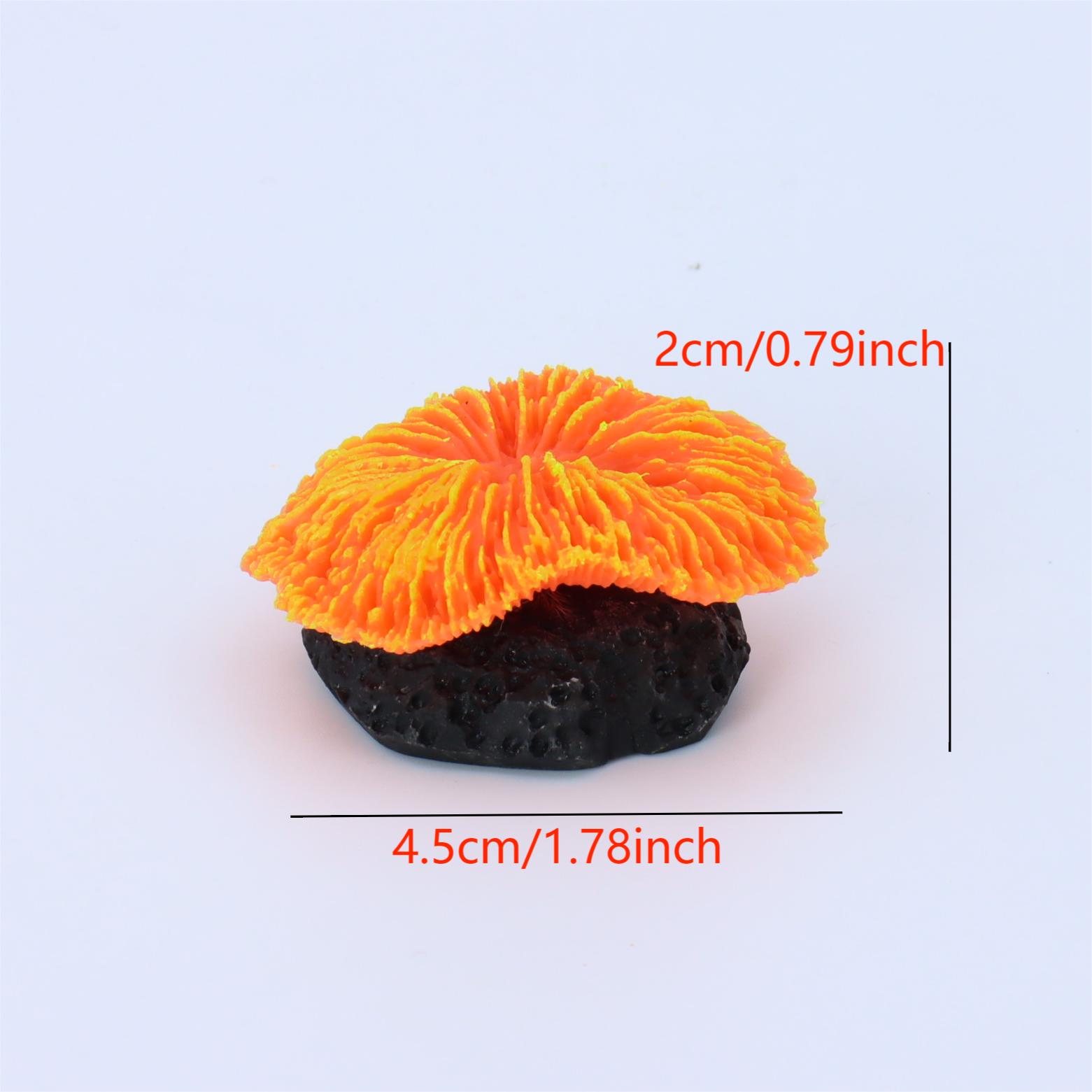 1 Piece Aquarium Decoration Sa - Live Plant Aquarium review and price