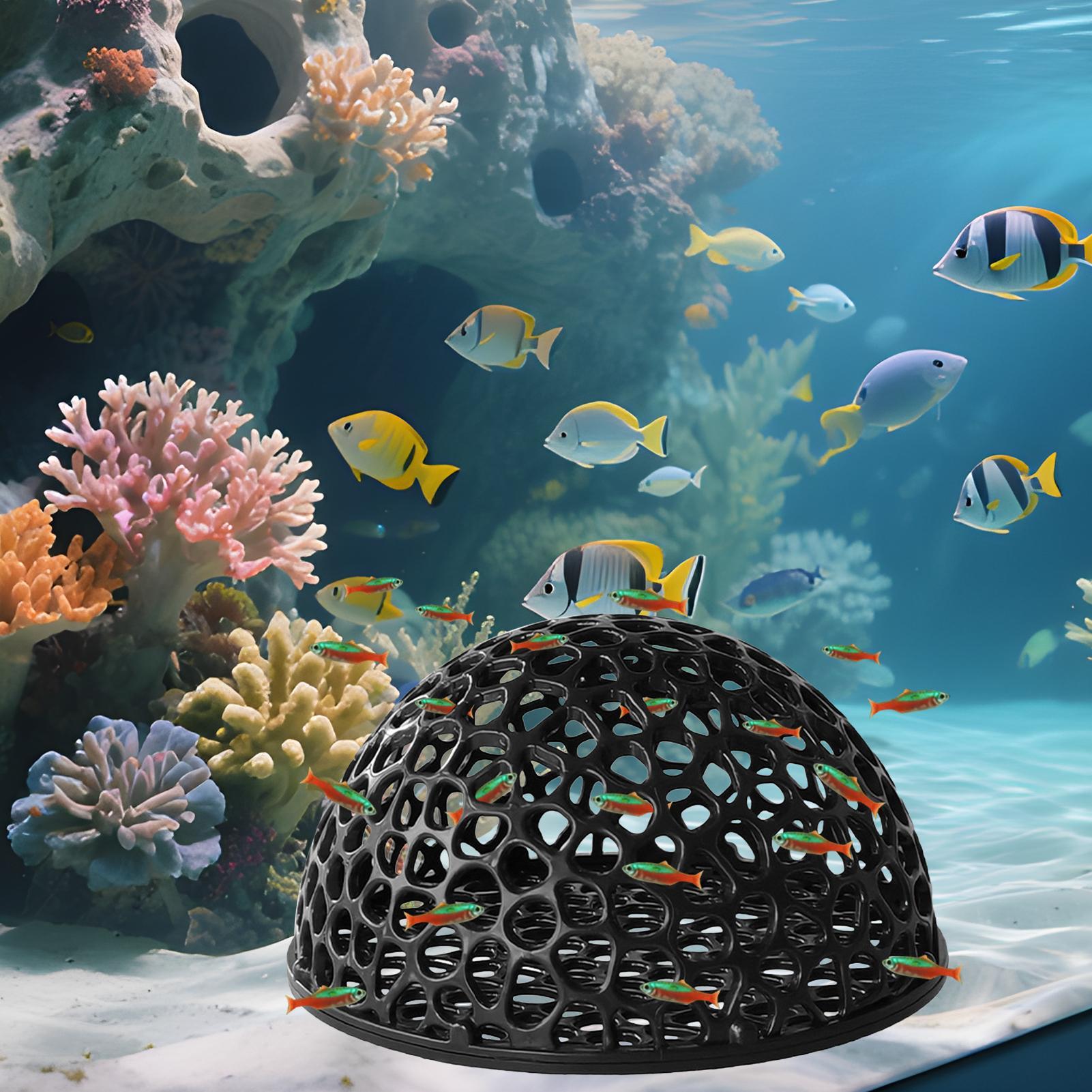 Aquarium Hiden Cave Shelter fo - Aquarium Plants Live review and price