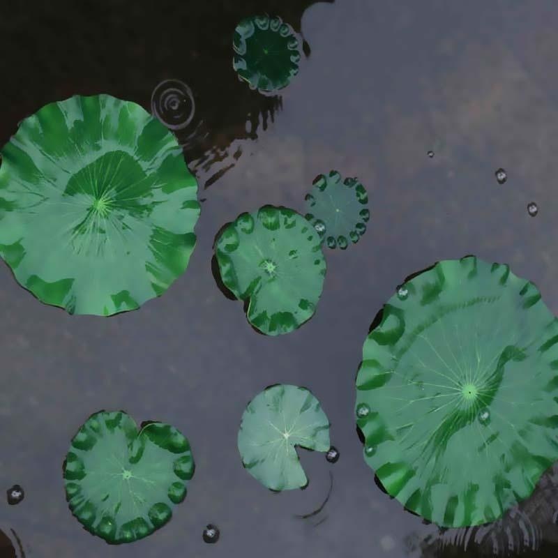 2026 Artificial Water Lily Lot - Aquarium Moss review and price