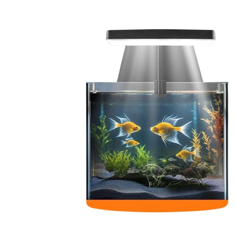 USB Aquarium Clip Light Flexib - Aquarium Plant Light review and price