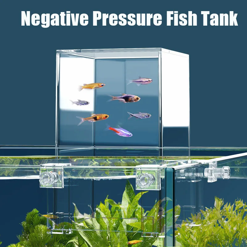 Creative Aquarium Tanks Negati - Plant Aquarium Pot review and price