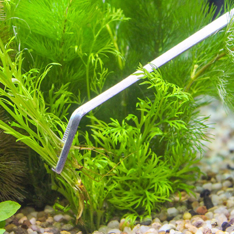 Professional Aquarium Maintena - Aquarium Plants Live review and price