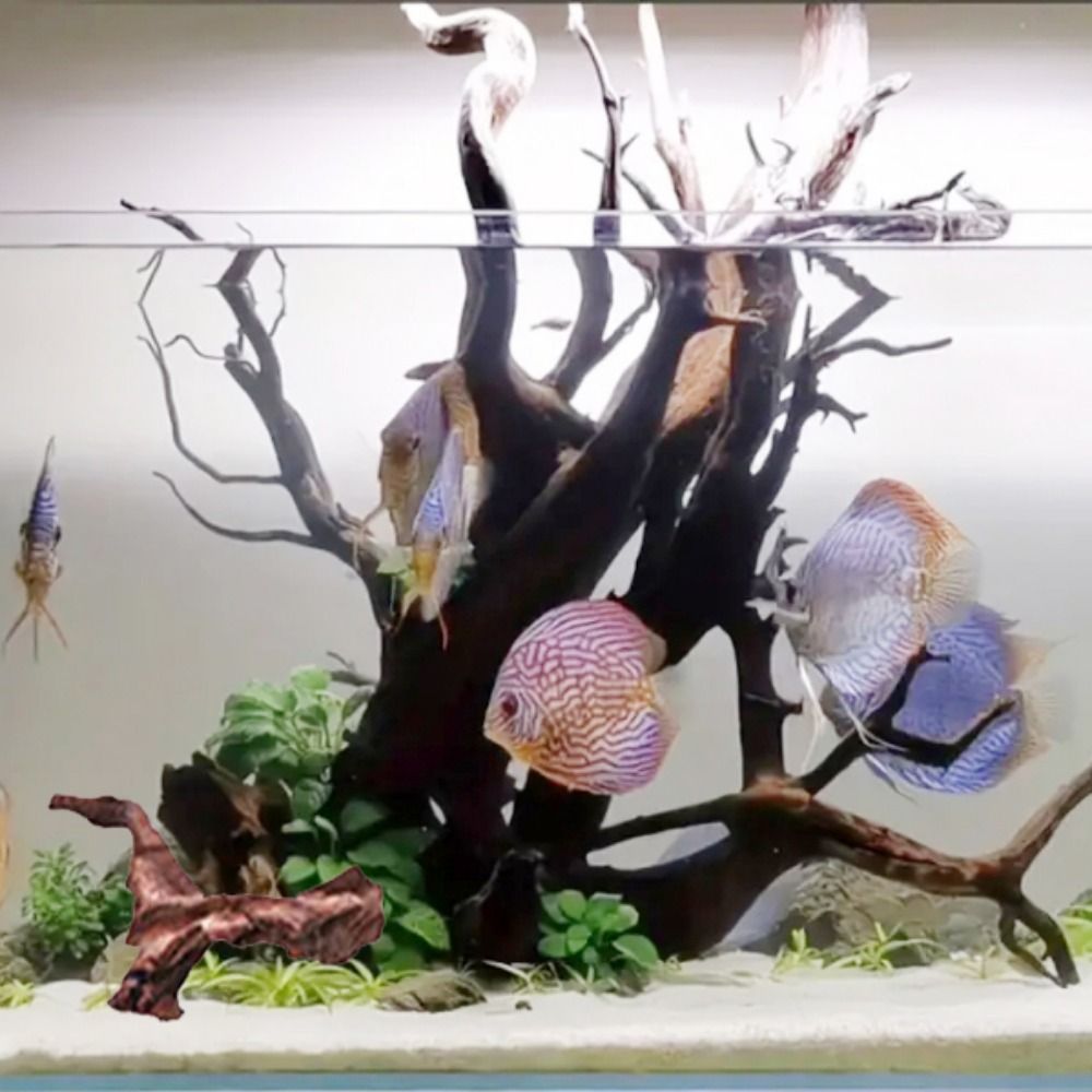 Creative Irregular Shape Coral - Aquarium Driftwood review and price