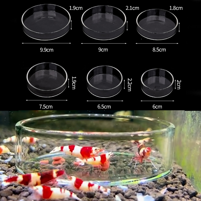 Shrimp Feeding Dish High Trans - Aquarium Fertilizer review and price