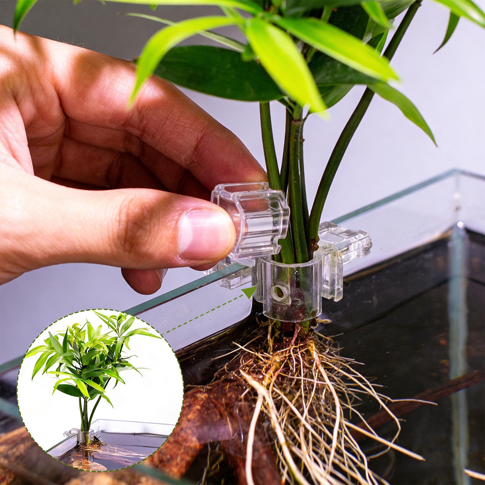 6pcs Aquarium Plant Holders Cl - Aquarium Plants Live review and price