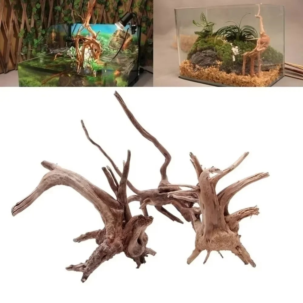 15-20CM Natural Driftwood Aqua - Aquarium Moss review and price