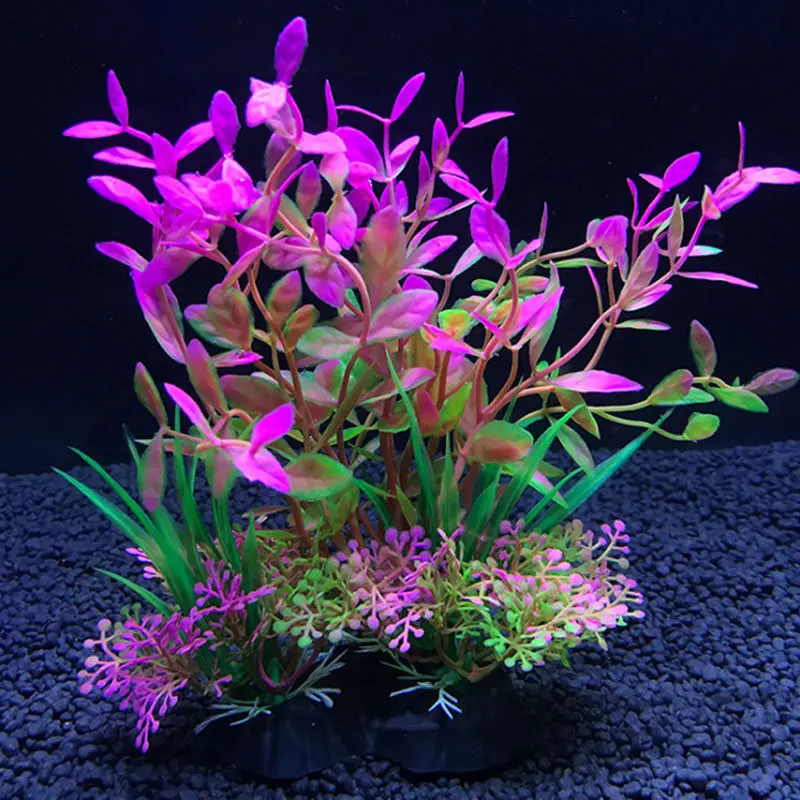 Aquarium Artificial Decor Plan - Live Plant Aquarium review and price